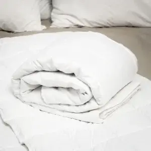 Bedste tyngdedyne 2026 – se årets topvalg 1 jysk tyngdedyne